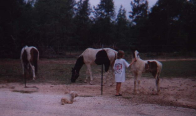 Serrie, Spirit, Mom & Dad Horse, BB
